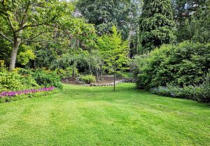 Optimiser l'expérience du jardin à Bernecourt